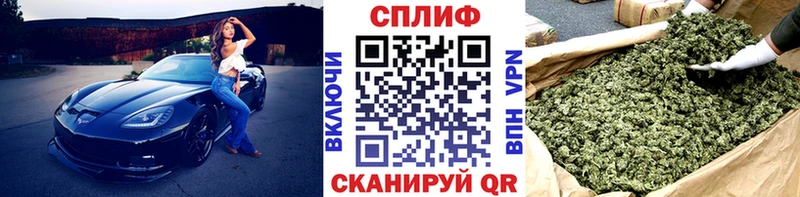 Где продают наркотики Сосновоборск Галлюциногенные грибы  ГАШИШ  Каннабис 