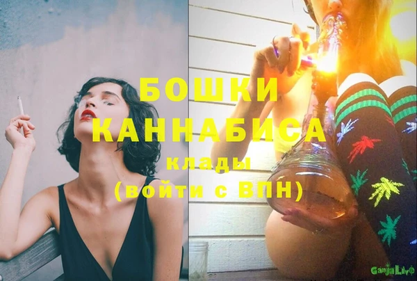 стафф Магадан