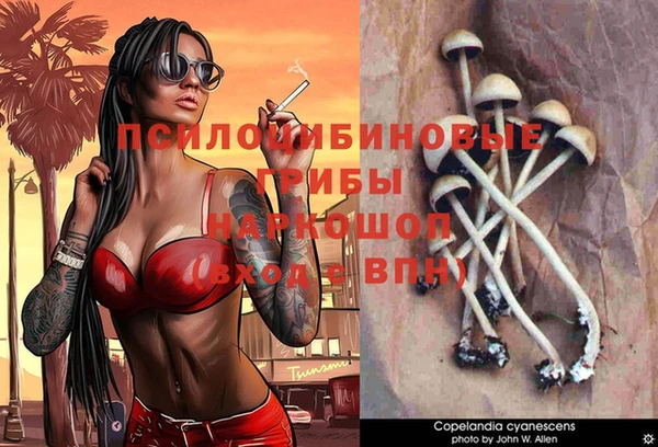 стафф Магадан