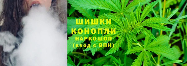гашик Магас