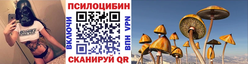 Галлюциногенные грибы Psilocybine cubensis  Сосновоборск 