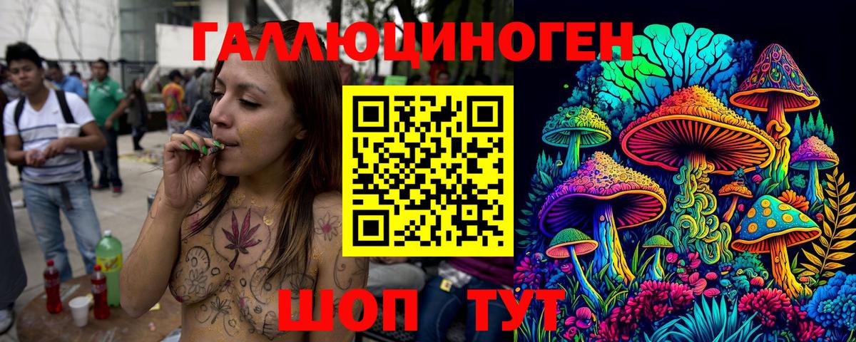Альфа ПВП Сосновоборск