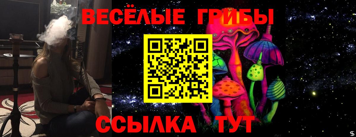 Галлюциногенные грибы Magic Shrooms  Псилоцибиновые грибы мухоморы  Сосновоборск 