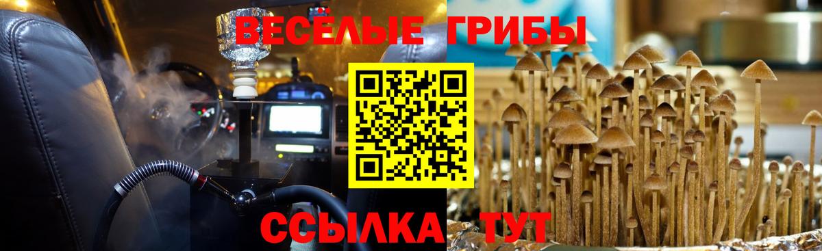 где продают наркотики  Галлюциногенные грибы прущие грибы  Вход с VPN  Сосновоборск 