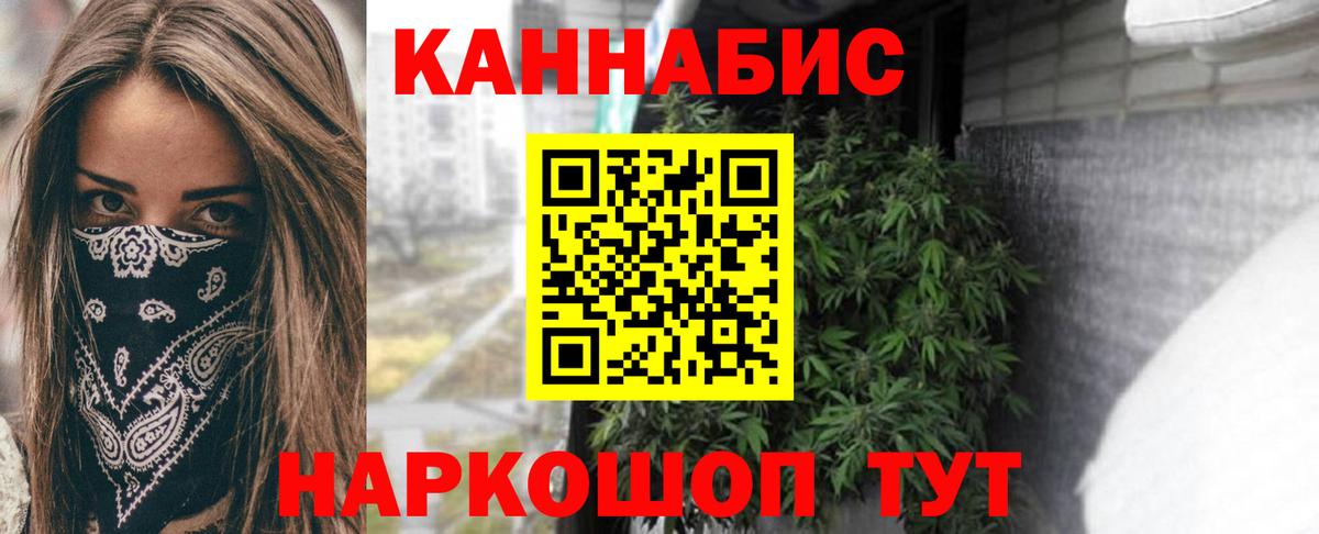 Конопля тримм  Сосновоборск  Бошки Шишки гибрид 